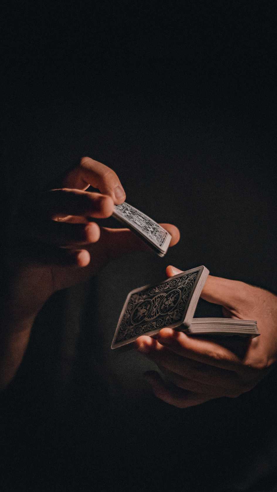 wildtokyocasinos.org